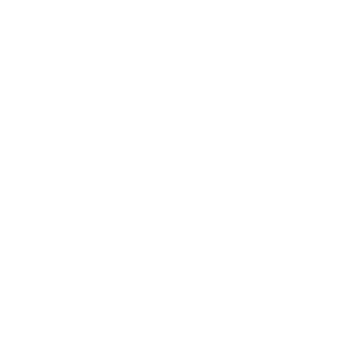 leo https://enr-tradinovfr.com/wp-content/uploads/2018/05/leo.png