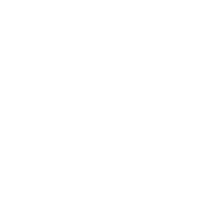 taurus https://enr-tradinovfr.com/wp-content/uploads/2018/05/taurus.png